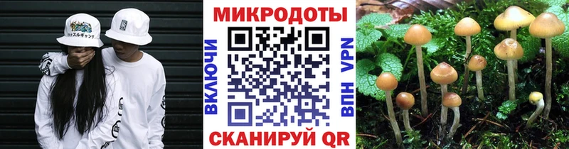 shop формула  Облучье  Галлюциногенные грибы прущие грибы 