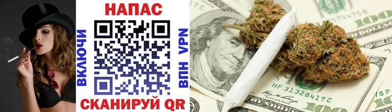 где продают наркотики  Облучье  Каннабис конопля 